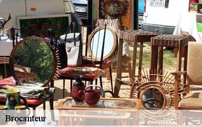 Brocanteur Loiret 