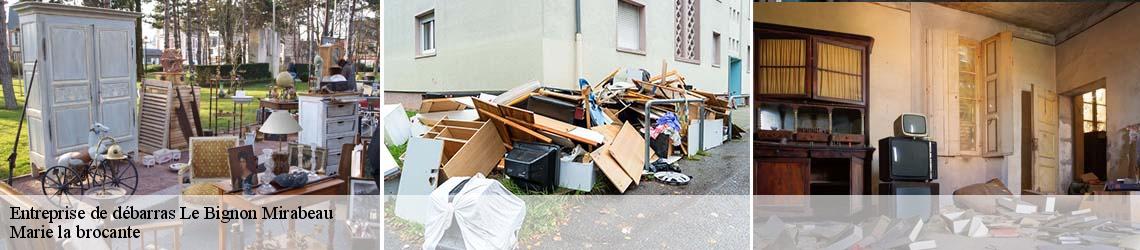 Entreprise de débarras  le-bignon-mirabeau-45210 Marie la brocante