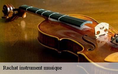 Rachat instrument musique  45480