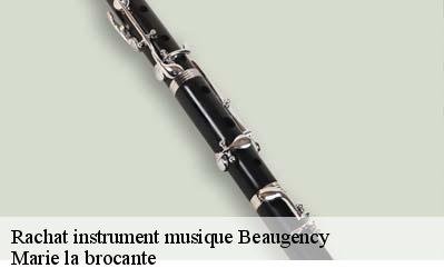 Rachat instrument musique  45190