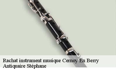 Rachat instrument musique  45360