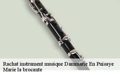 Rachat instrument musique  45420