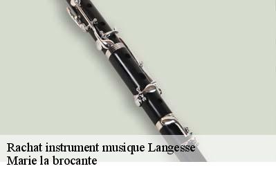 Rachat instrument musique  45290