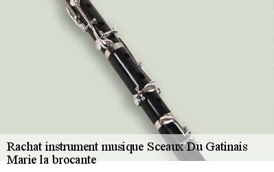 Rachat instrument musique  45490