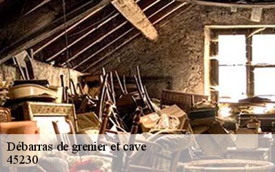 Débarras de grenier et cave  45230