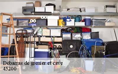 Débarras de grenier et cave  45200