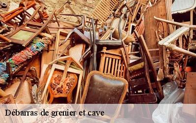 Débarras de grenier et cave  45390