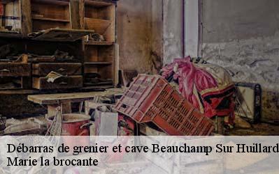 Débarras de grenier et cave  45270