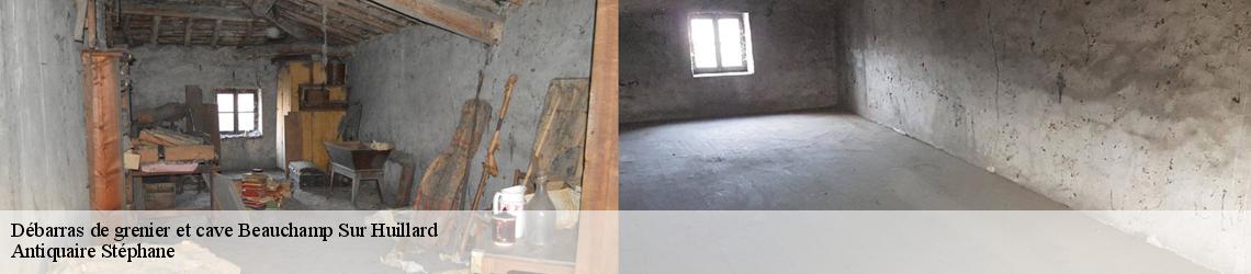 Débarras de grenier et cave  beauchamp-sur-huillard-45270 Antiquaire Stéphane 