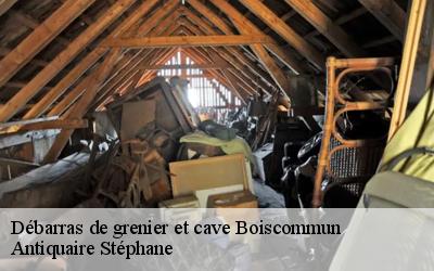 Débarras de grenier et cave  45340