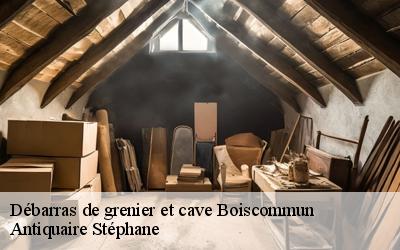 Débarras de grenier et cave  45340
