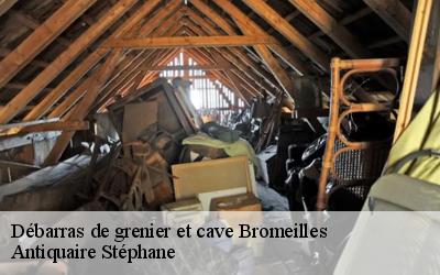 Débarras de grenier et cave  45390
