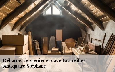 Débarras de grenier et cave  45390