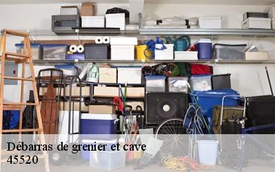 Débarras de grenier et cave  45520