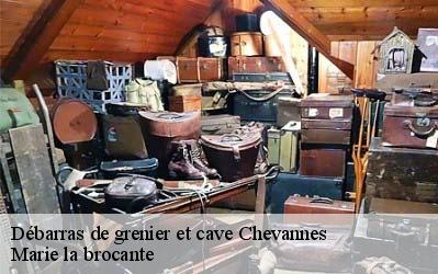 Débarras de grenier et cave  45210