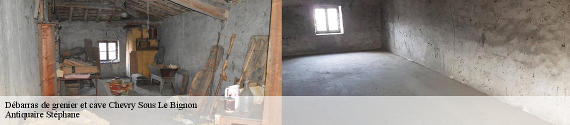 Débarras de grenier et cave  chevry-sous-le-bignon-45210 Antiquaire Stéphane 