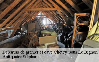Débarras de grenier et cave  45210
