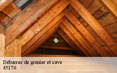 Débarras de grenier et cave  45170