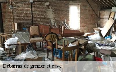 Débarras de grenier et cave  45330