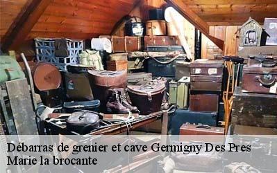 Débarras de grenier et cave  45110