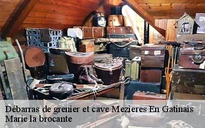 Débarras de grenier et cave  45270