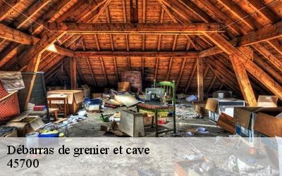 Débarras de grenier et cave  45700