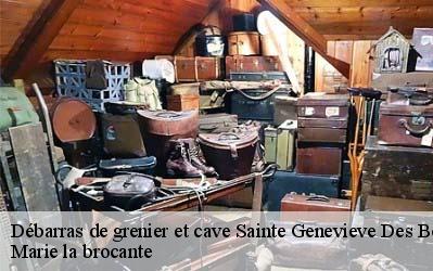 Débarras de grenier et cave  45230