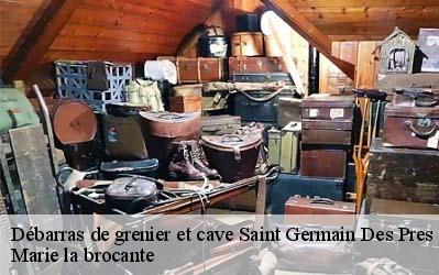 Débarras de grenier et cave  45220