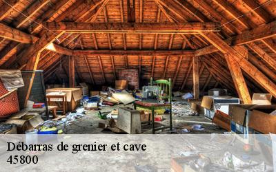 Débarras de grenier et cave  45800