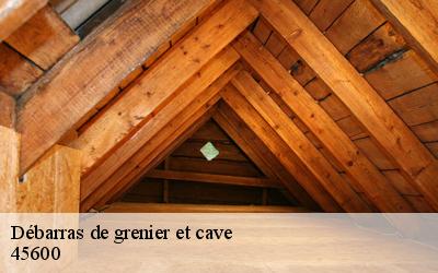 Débarras de grenier et cave  45600