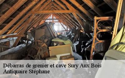 Débarras de grenier et cave  45530