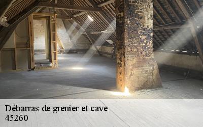 Débarras de grenier et cave  45260