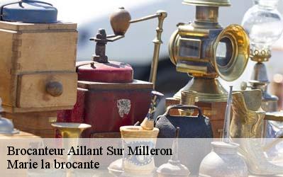 Brocanteur  45230