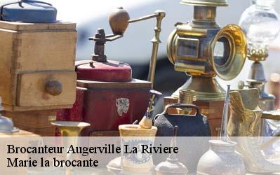 Brocanteur  45330