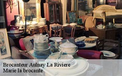 Brocanteur  45390