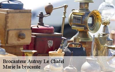 Brocanteur  45500