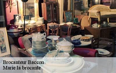 Brocanteur  45130