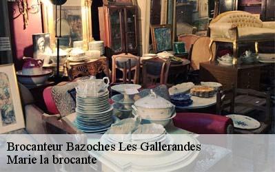 Brocanteur  45480