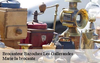 Brocanteur  45480