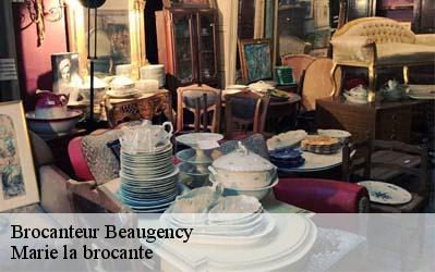 Brocanteur  45190