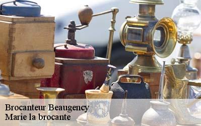 Brocanteur  45190