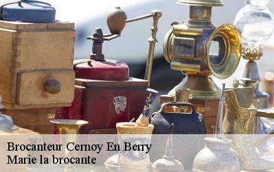 Brocanteur  45360