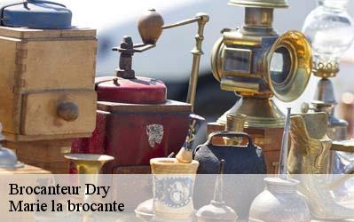 Brocanteur  45370