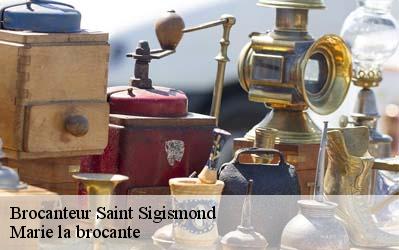 Brocanteur  45310