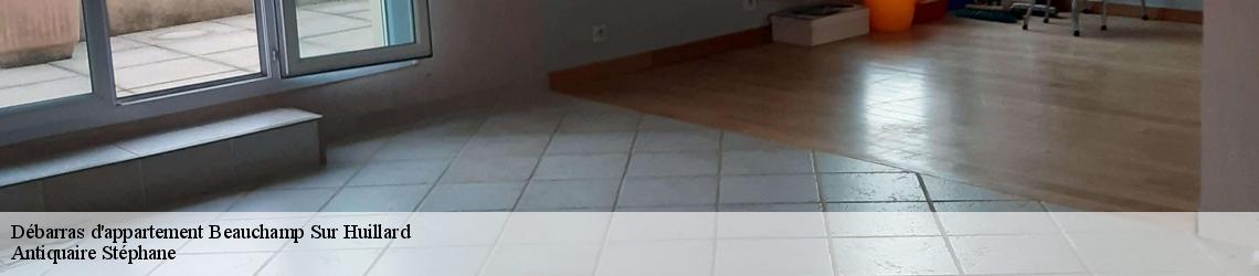 Débarras d'appartement  beauchamp-sur-huillard-45270 Antiquaire Stéphane 