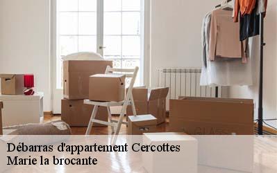 Débarras d'appartement  45520