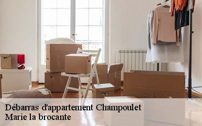 Débarras d'appartement  45420