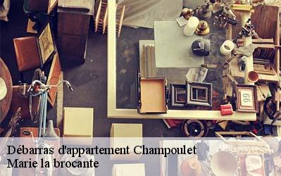 Débarras d'appartement  45420