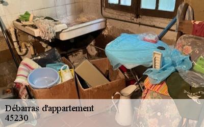 Débarras d'appartement  45230