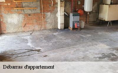 Débarras d'appartement  45220